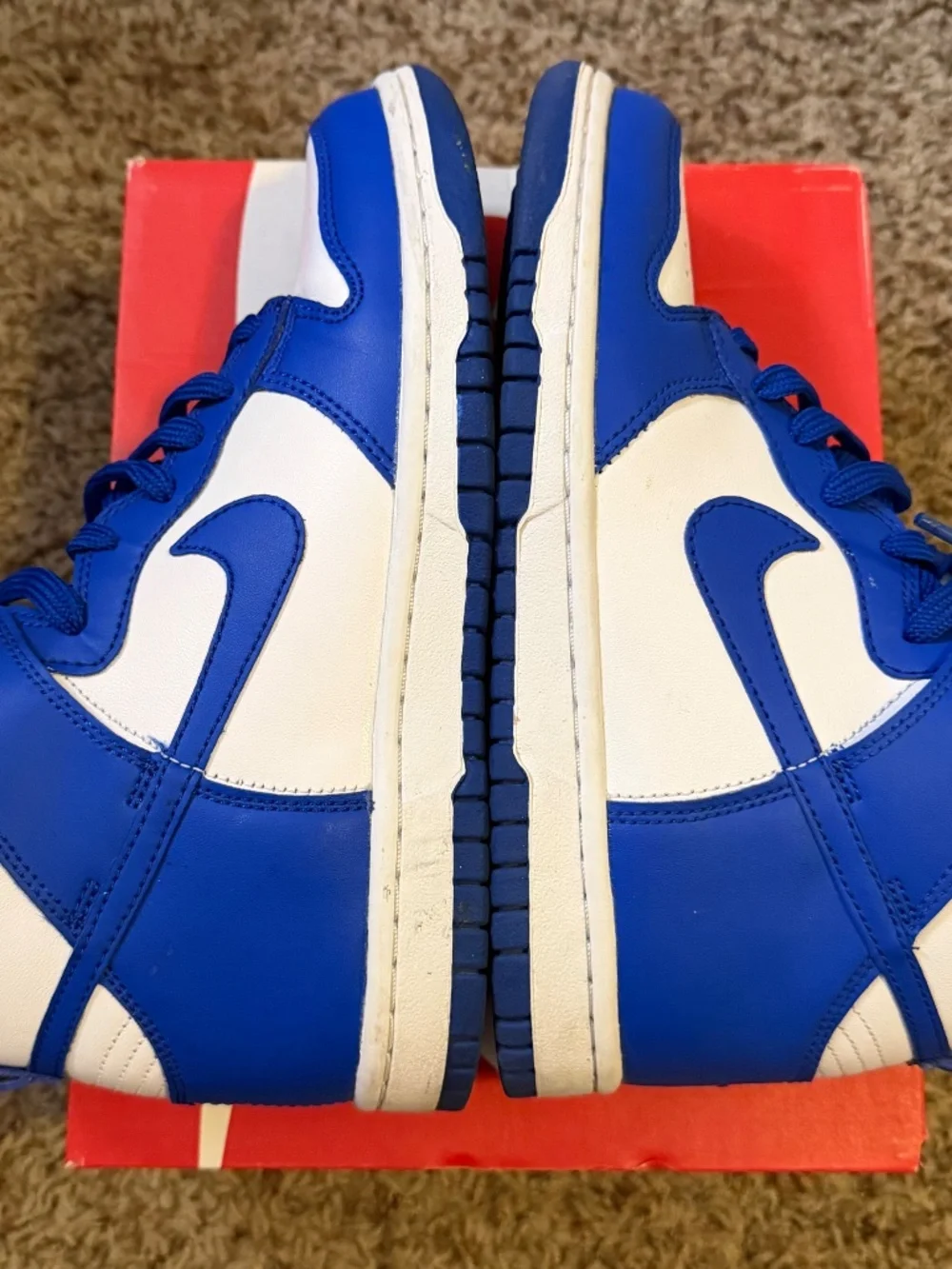 Big kids Nike dunk high